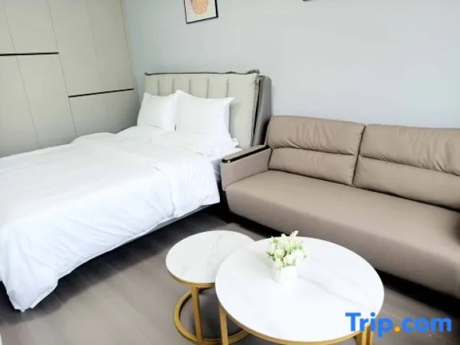 1 Bedroom Classic Double room