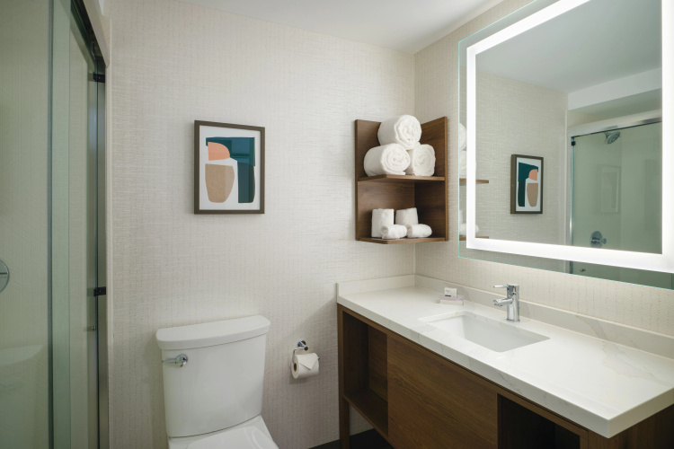Holiday Inn Chicago O'hare - Rosemont photo 10