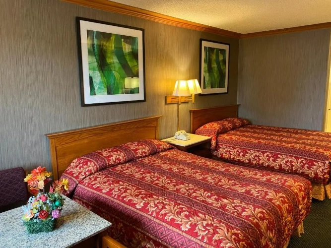 Deluxe Double room with view