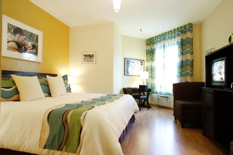 Freehand MiamiOver view