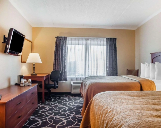 Quadruple Suite