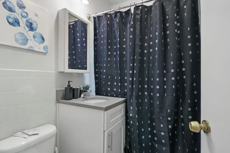 1BR Chic Apt - Dorchester 204