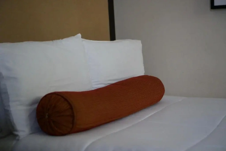 Single Suite