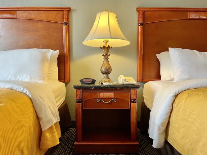 Standard Quadruple Suite with city view