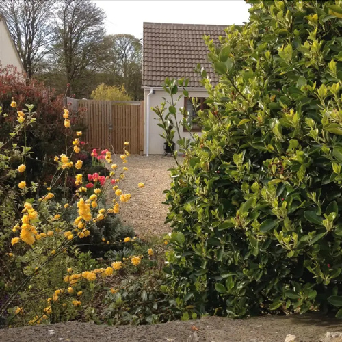 Rose Briar B&B