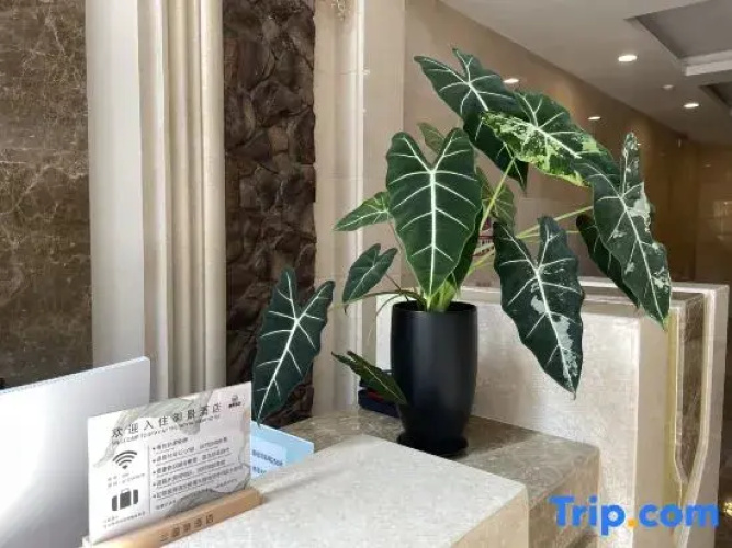 YuJing Hotel