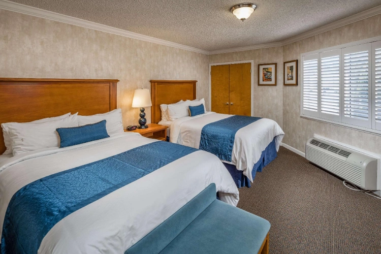 Quadruple Suite