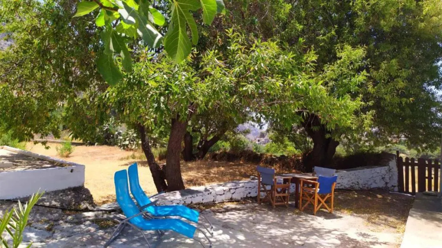 Almond trees house