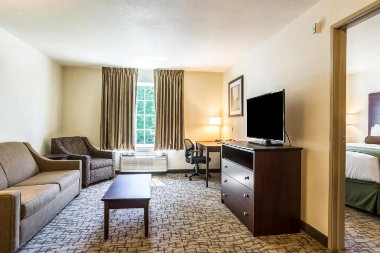 Single Suite
