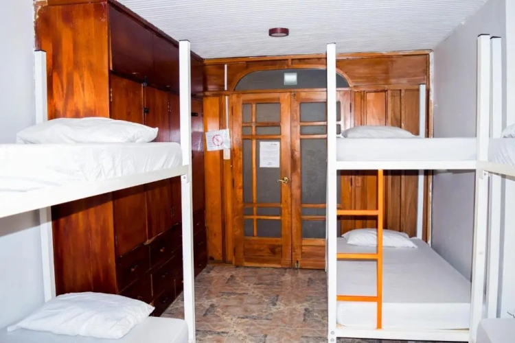 Bed in Dorm