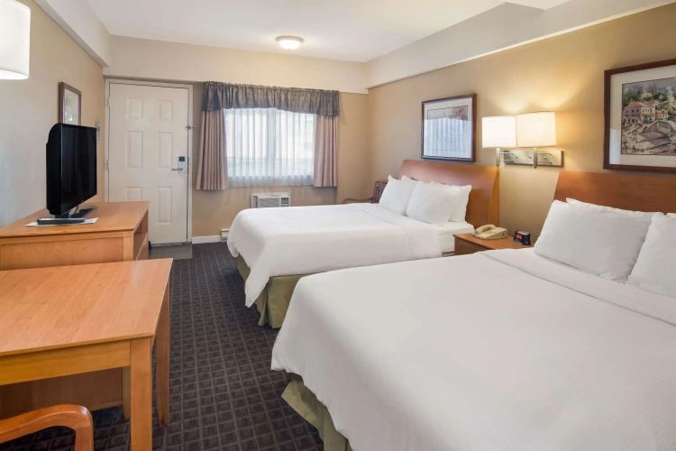 Twin Suite
