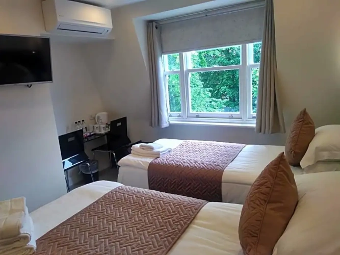 Standard Twin room with view