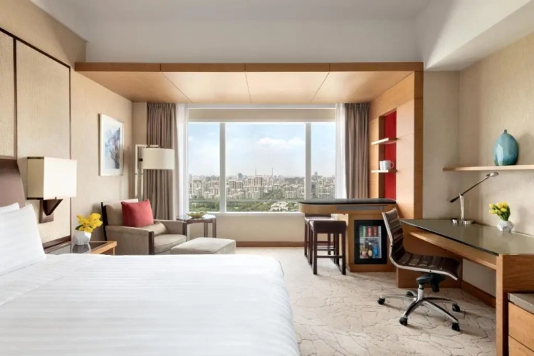 Deluxe Double room Park View