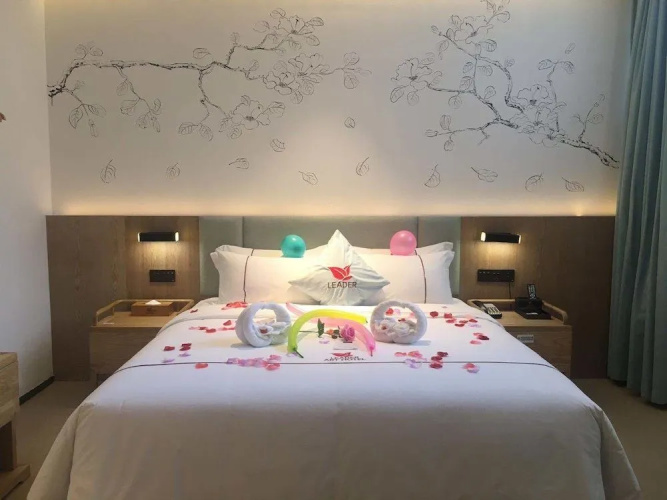 Leader Art Hotel