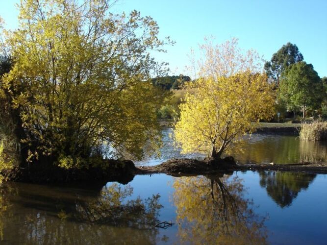 Ambleside On The LakeOver view