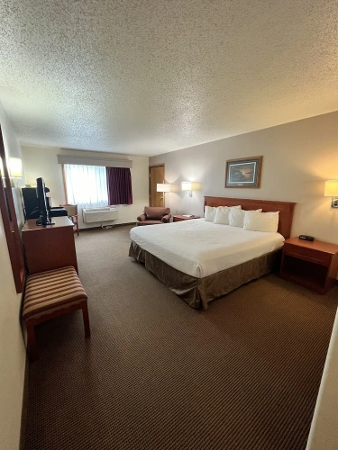 Standard Double Basement room