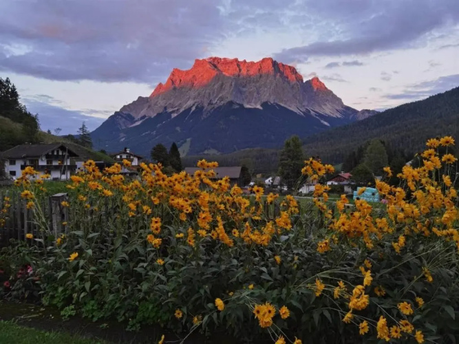 Alpinum Hostel