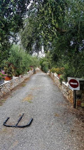 Manto Studios