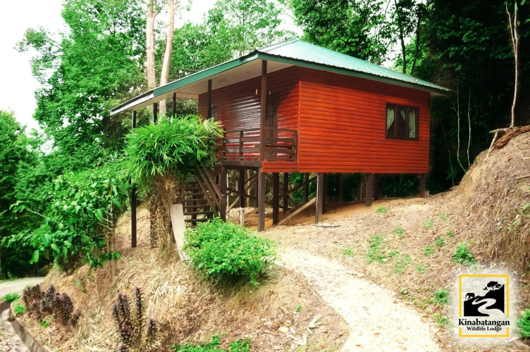 Kinabatangan Wildlife Lodge