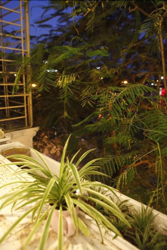 ZO Hotels Trich Sai 1