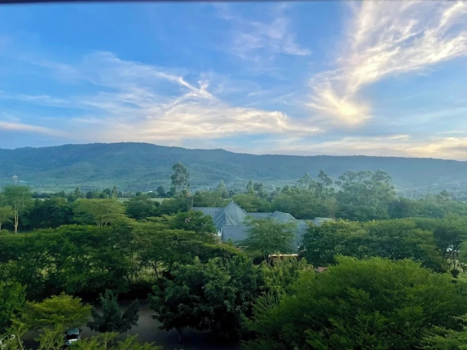 Standard Single room with mountain view