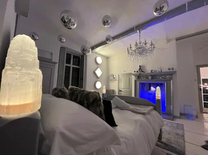 Deluxe Double room with garden view