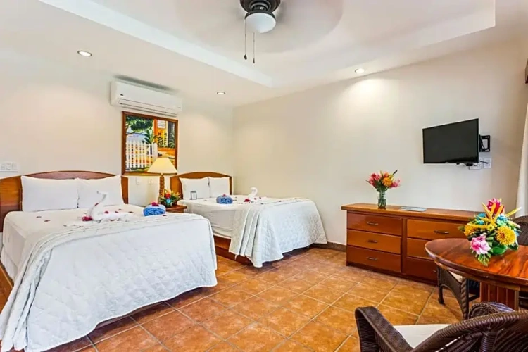 Standard Double room with view