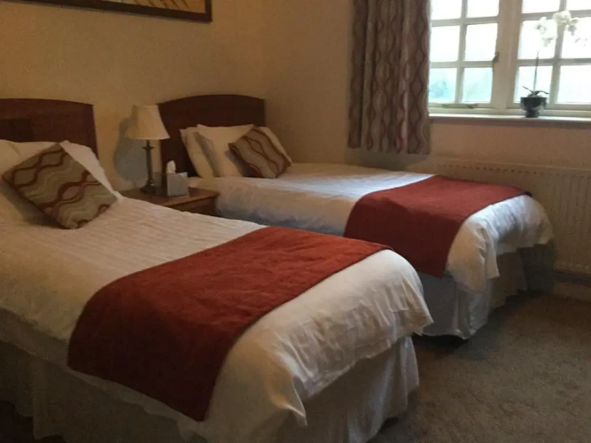 Standard Twin room with garden view