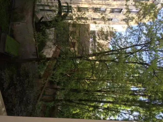 Studio Eulalie
