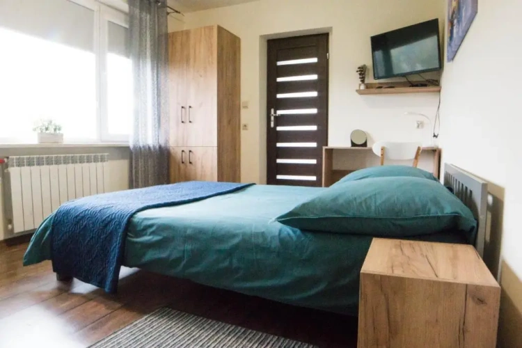 Standard Double room with mountain view
