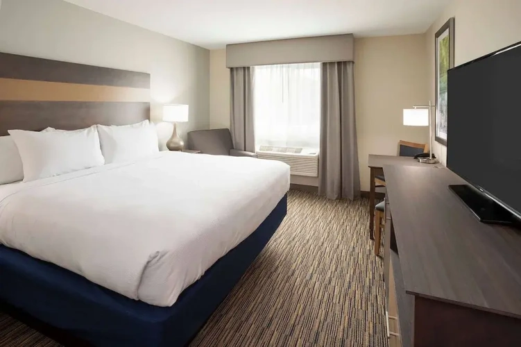 1 Bedroom Executive Suite