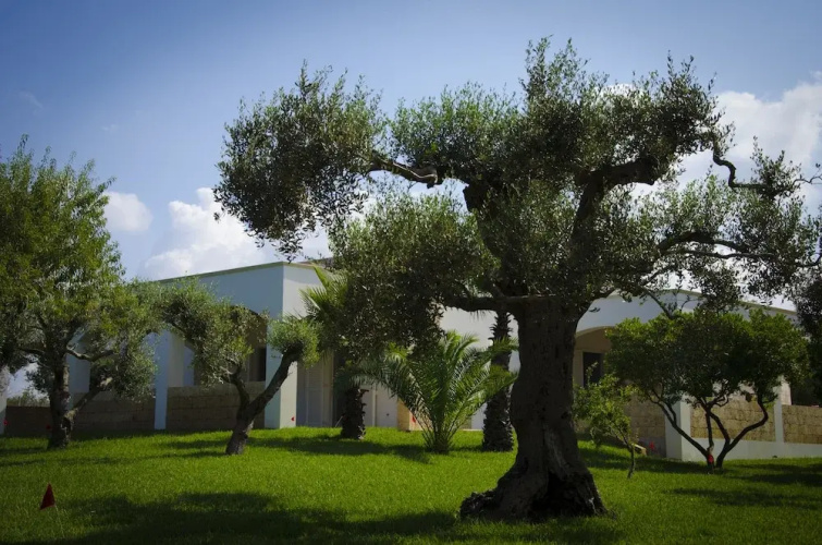 Villa Nisapiro'