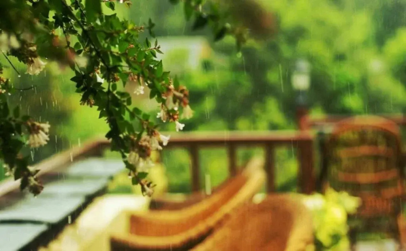 Blossoms Village Resort