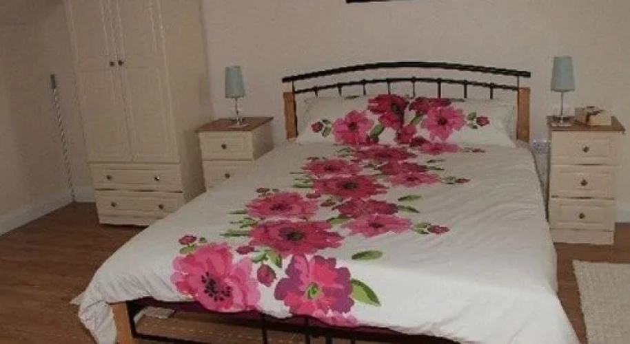 Drumlin Lane Self Catering