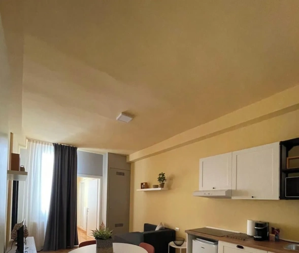 Executive Apartment
