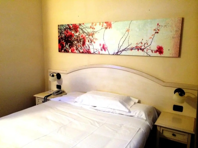 Standard Double room with view
