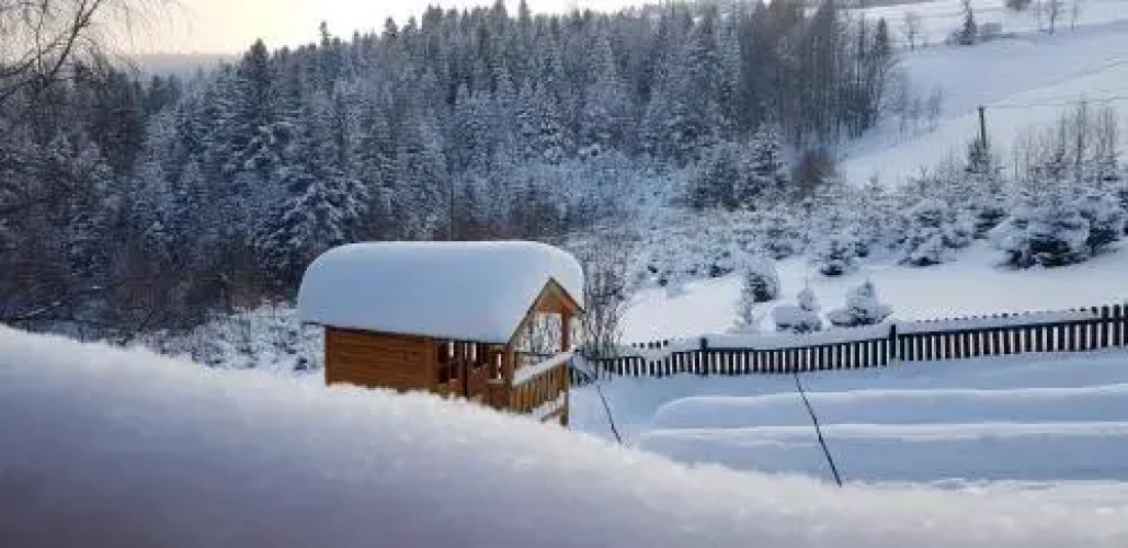 Domek na Obidzy