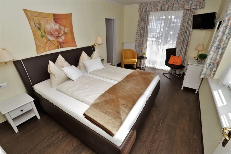 Standard Double room with balcony and with garden view