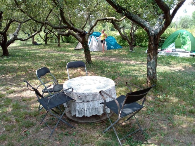 Tent