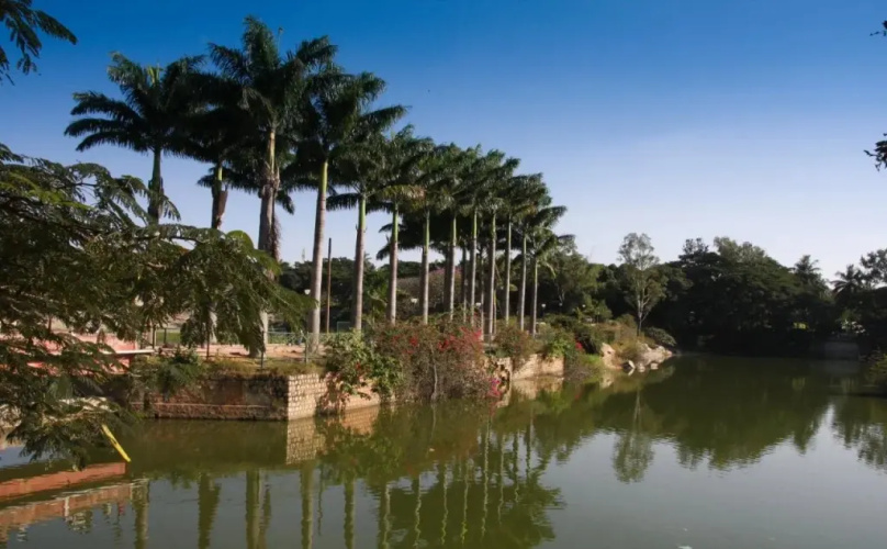 Tranquil Homestay