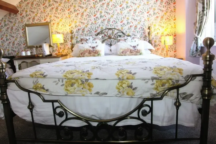 Standard Double Family room