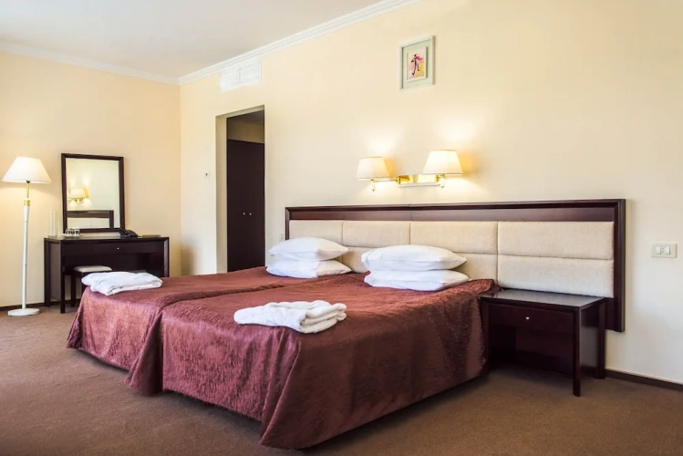 1 Bedroom Standard Double room