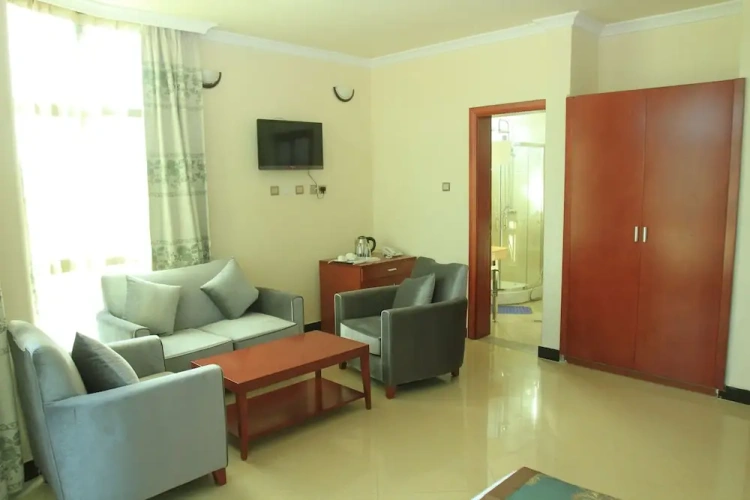 Single Studio with balcony and with city view