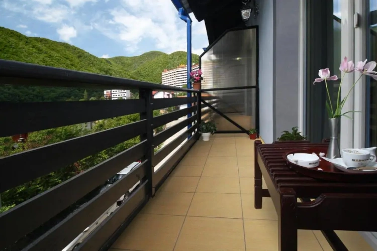 Standard Double room with balcony and with view