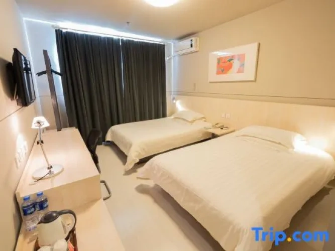 Business Family Suite