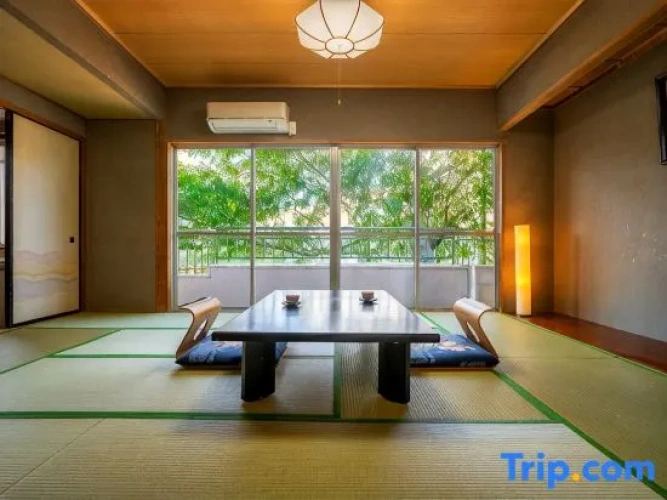 Standard room with river view