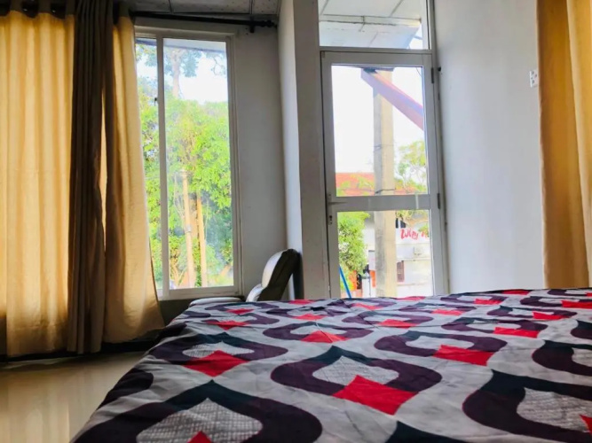 Akee Guest