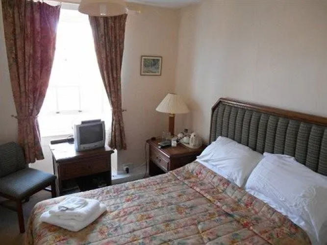The Unicorn
