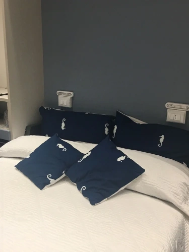 Standard Double room with balcony and with sea view