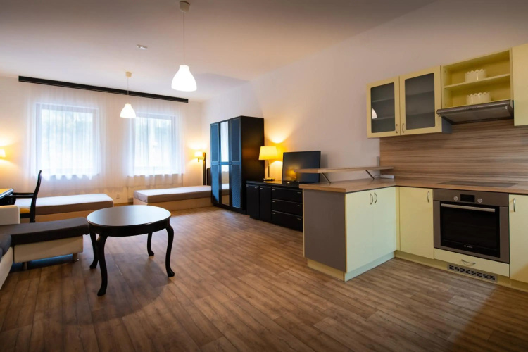 Apartmán U Křížku